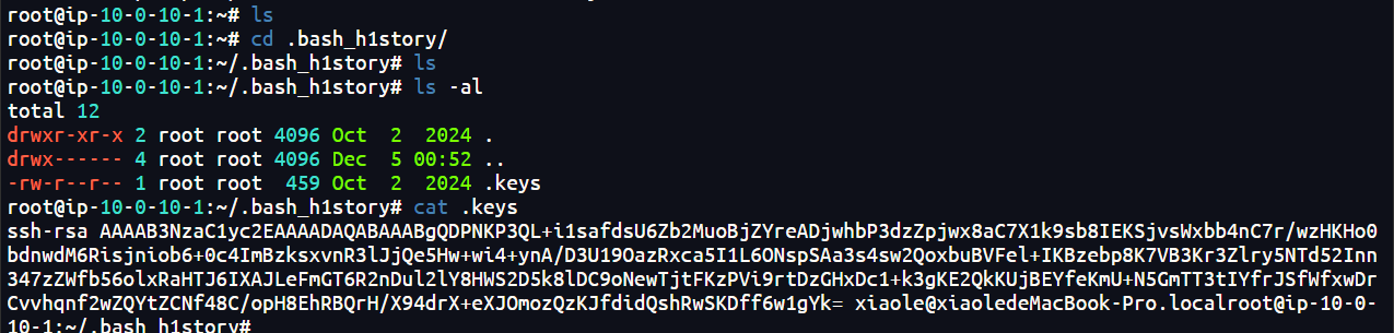image-20250514164901860