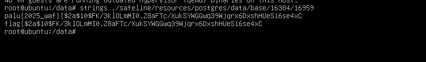 image-20250517212122896