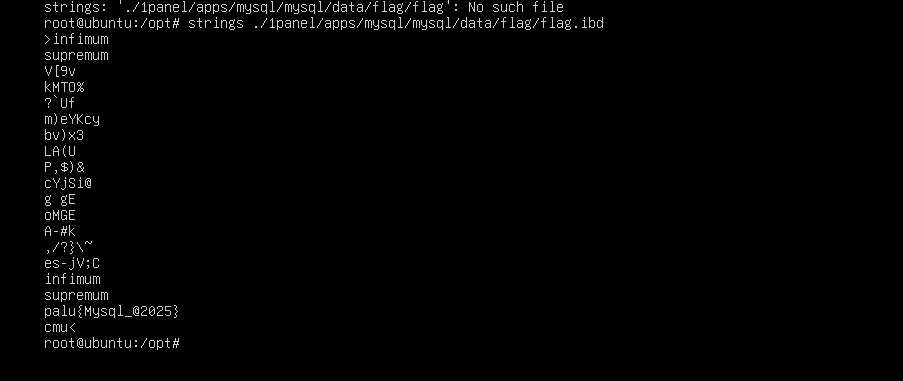 image-20250517221325672
