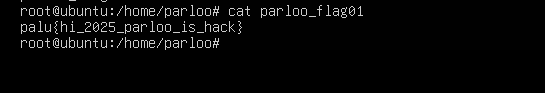 image-20250517225447559