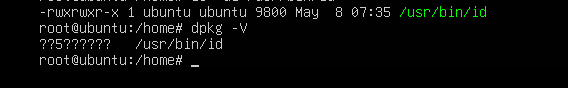 image-20250517232305771