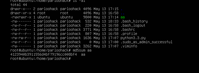 image-20250517234744593